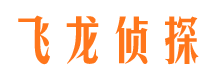 环江市侦探